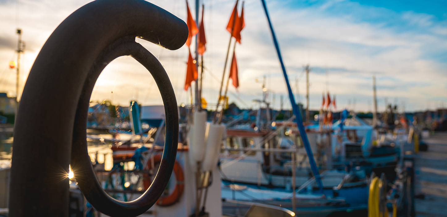 Nyborg Fyn Danmark Nyborg Marina