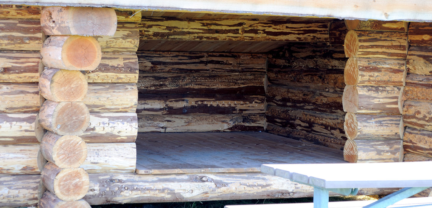 Nyborg Fyn Danmark Shelter 