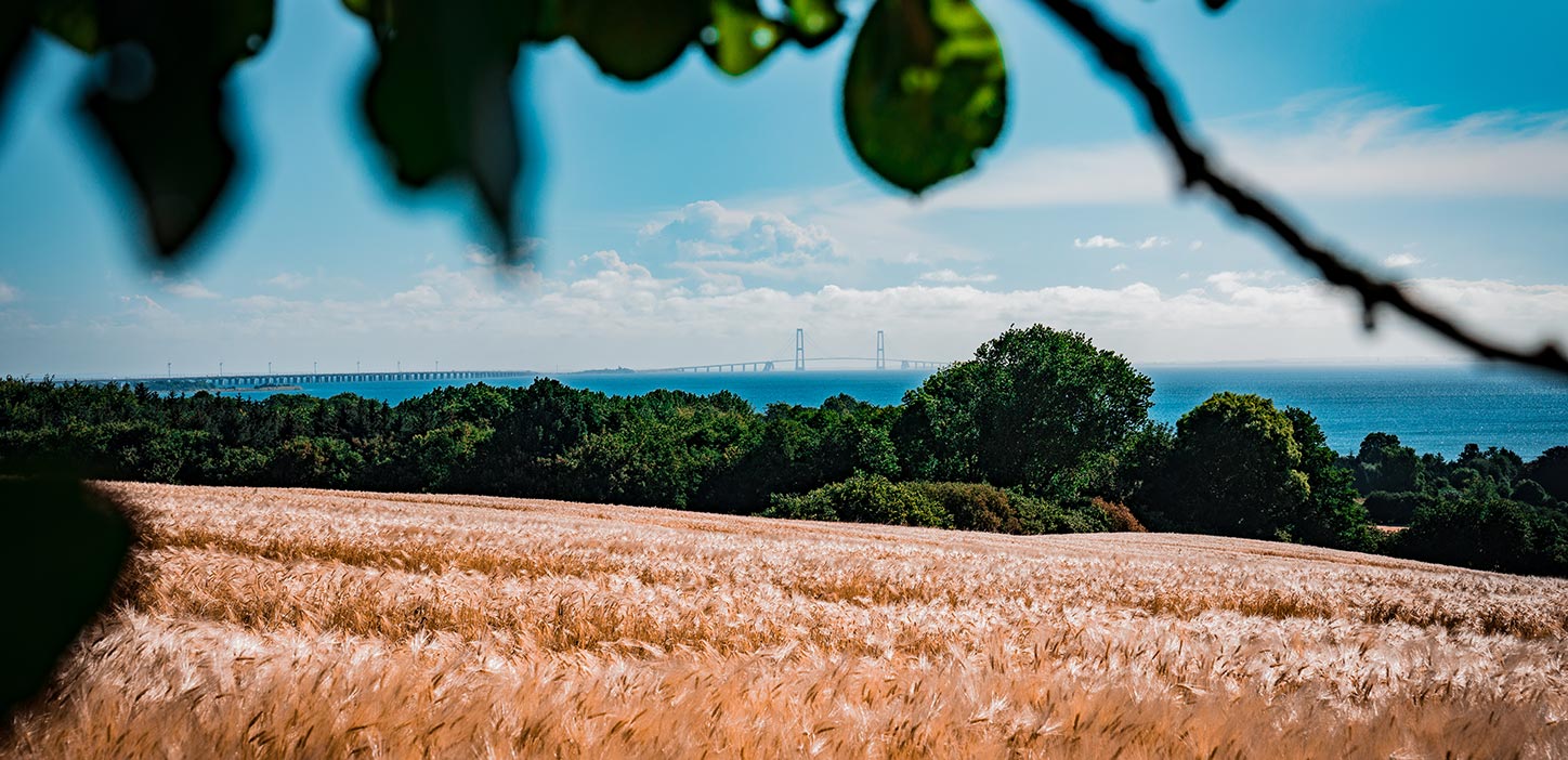 Nyborg Fyn Danmark Storebæltsbroen Mark
