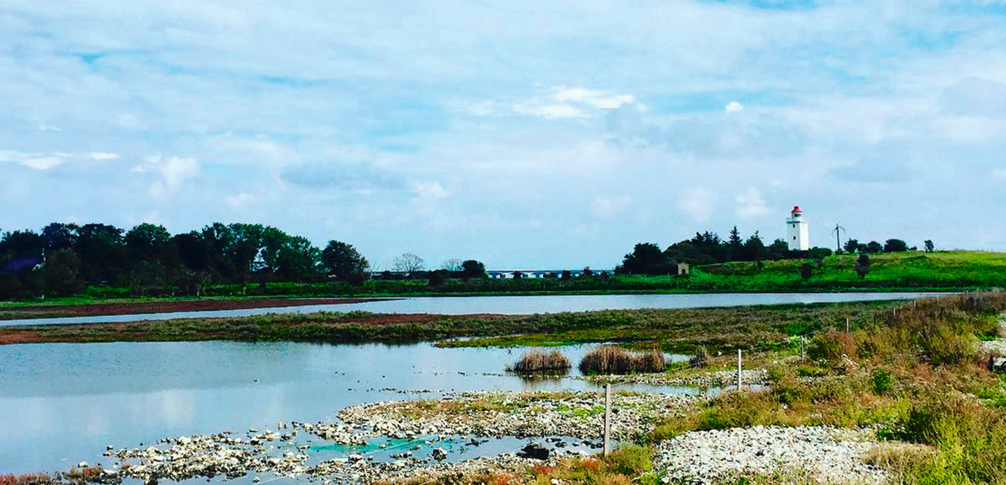 En kulturel dag i Nyborg