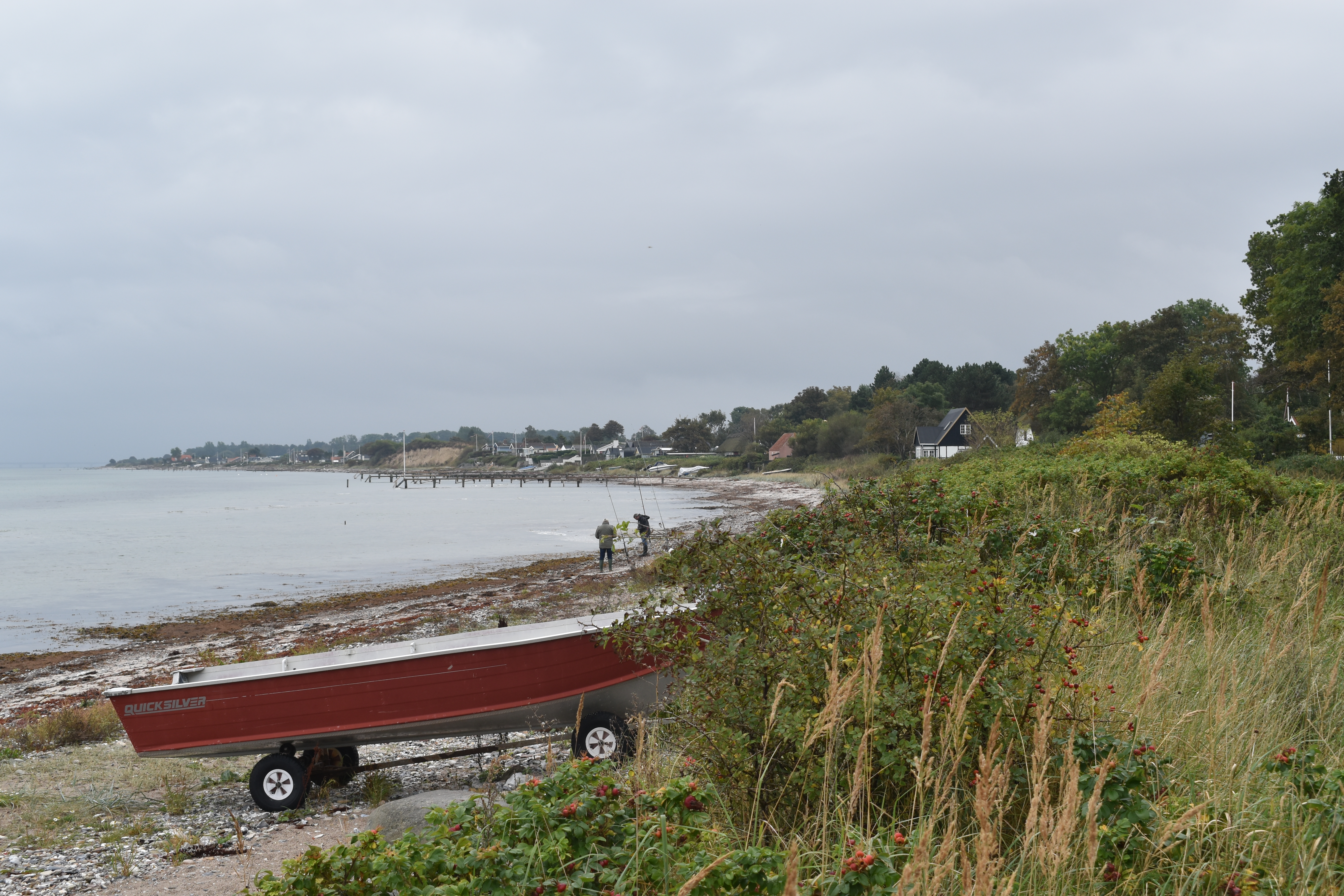 Kystbillede fra Bovense