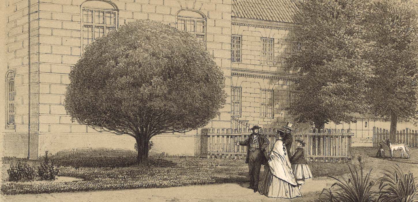 Juulskovs takstræ illustreret J. W Tegner & Kittendorff (1877)