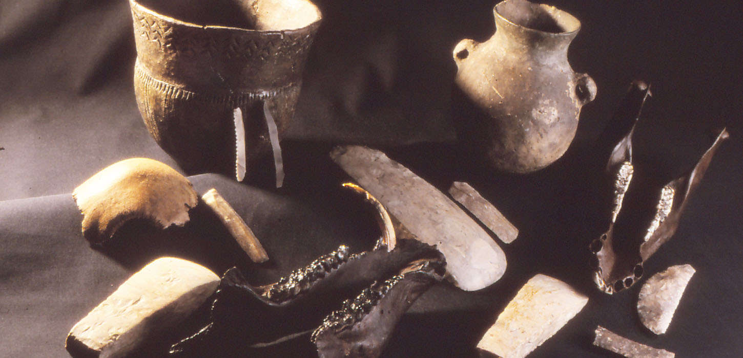 Mosefund fra Sludegårds mose