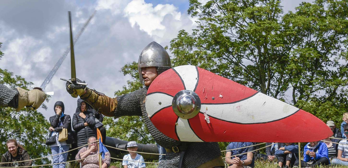 Ridder med skjold til Danehof
