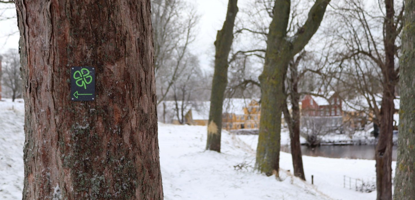 Tag med ud på kløverstierne i Nyborg i vinteren
