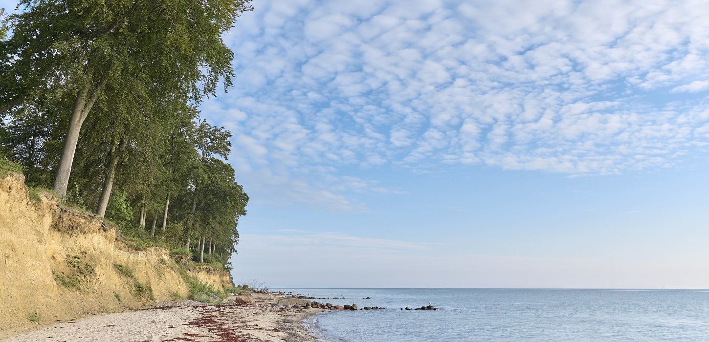 Kysten ved Teglværksskoven