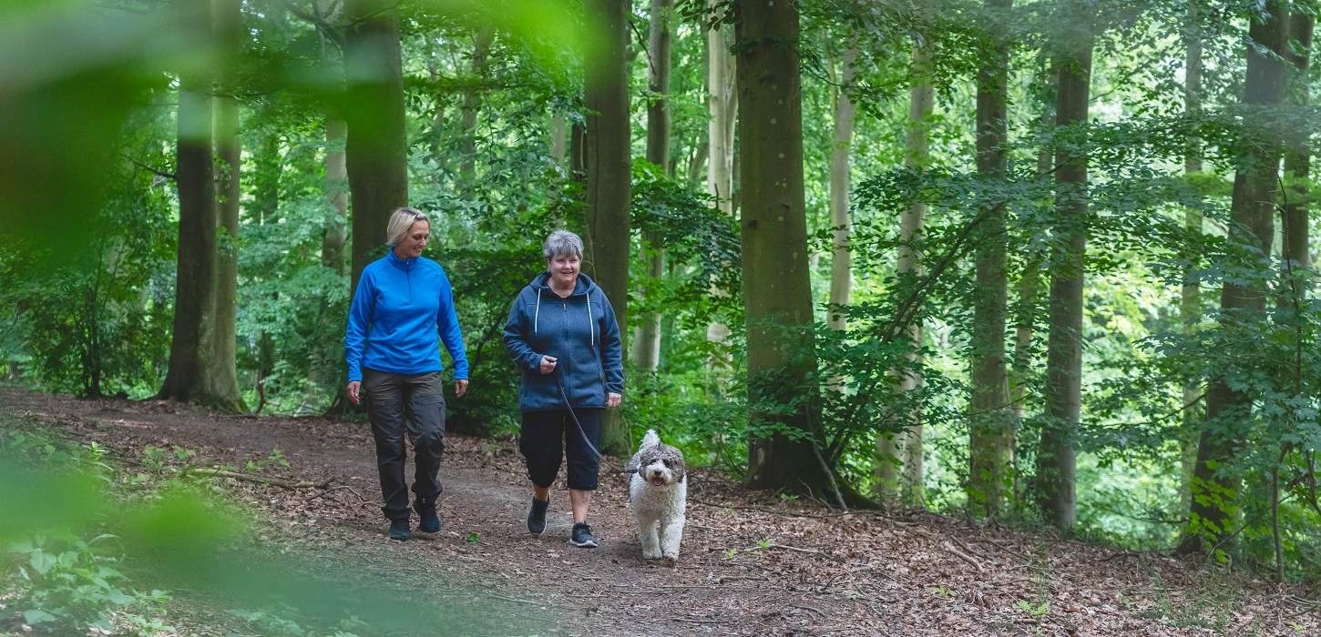 Machen Sie einen Spaziergang mit dem Hund im Ladegårdsskoven in Nyborg