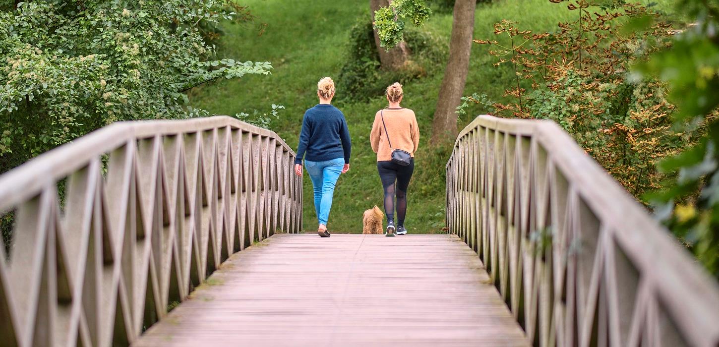Einheimische Freunde machen einen Spaziergang im Ladegårdsskoven in der Nähe des Schloss Nyborg
