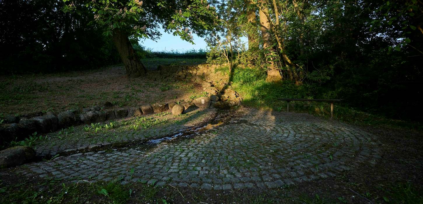 Regisse kilde er en hellig kilde, der ligger ved Frørup tæt på Nyborg