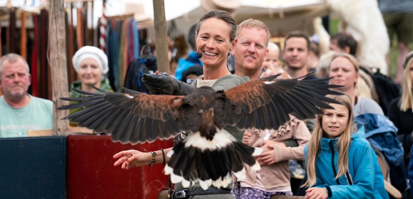 Oplev det imponerende falkonérshow med Harris Høg til Danehof 2025 i Nyborg