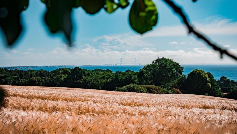 Nyborg Fyn Danmark Storebæltsbroen Mark