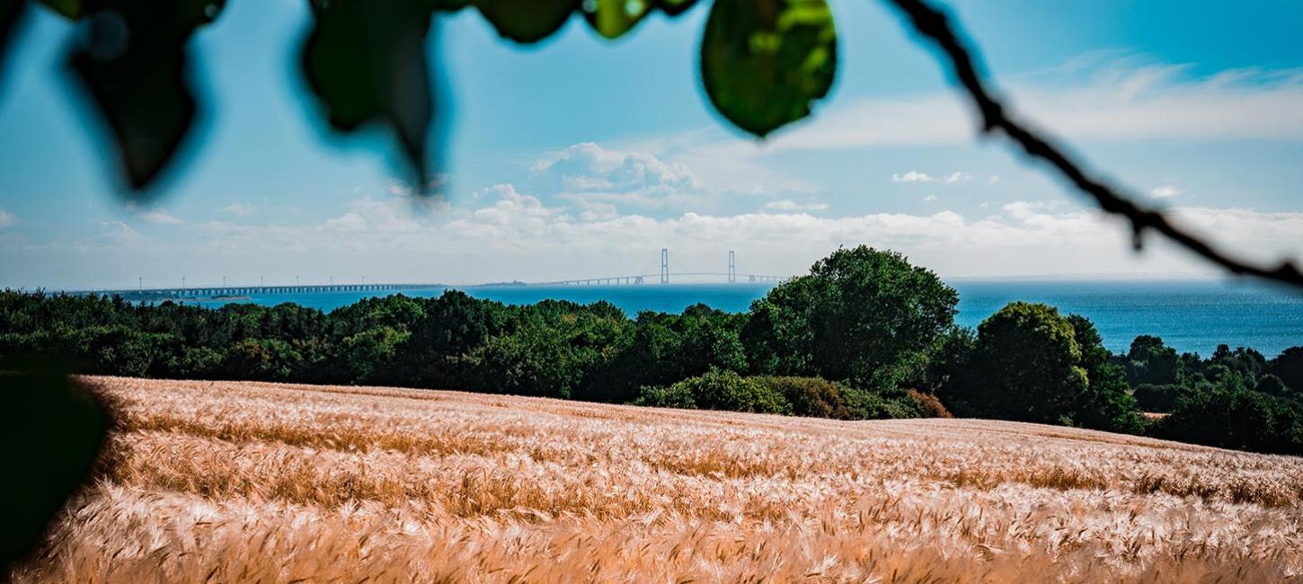 Nyborg Fyn Danmark Storebæltsbroen Mark