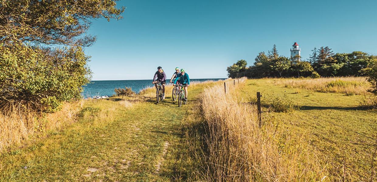 Cykelister på Knudshoved