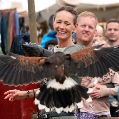 Experience the impressive falconry show with Harris Hawk at Danehof 2025 in Nyborg