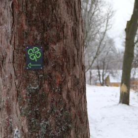 Tag med ud på kløverstierne i Nyborg i vinteren